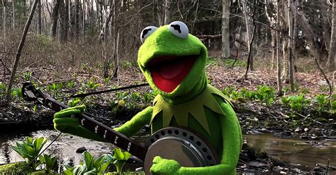 Kermit the Frog sings ‘Rainbow Connection,’ brings back heartwarming ...