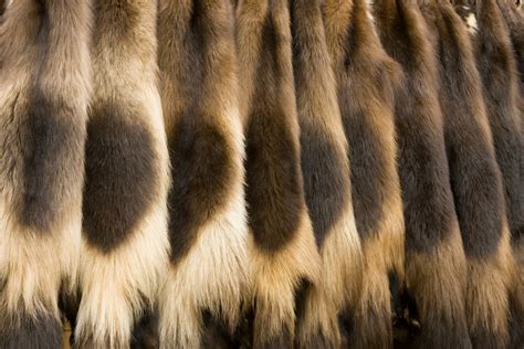 Pelts