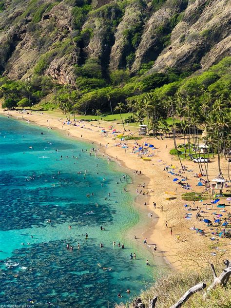 Hanauma Bay Snorkeling & Hours | Oahu Activities