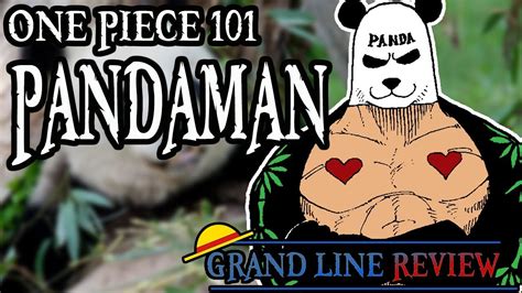 The Pandaman Explained (One Piece 101) - YouTube