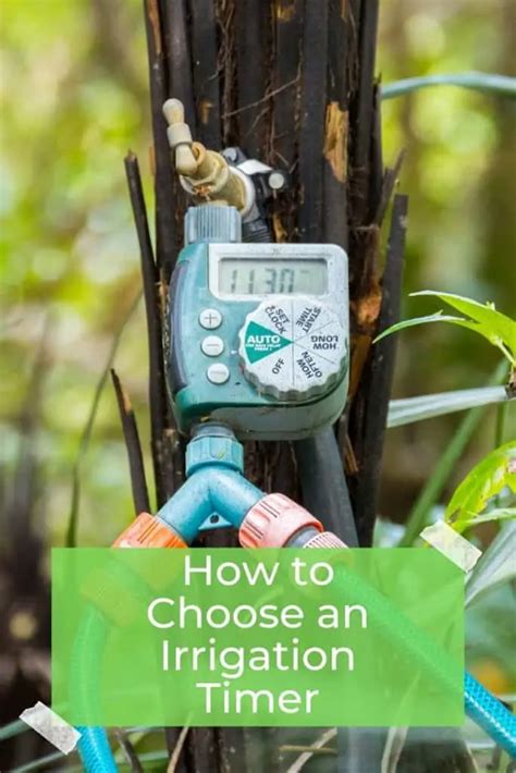 How to Choose an Irrigation Timer - The All Electric Lawn