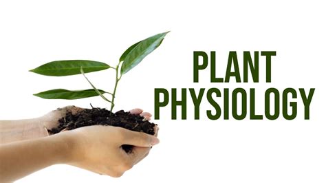 Plant Physiology - YouTube