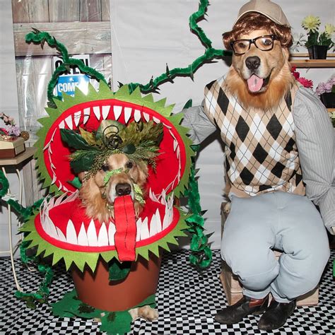 Little Shop of Horrors Costumes | My Frugal Halloween