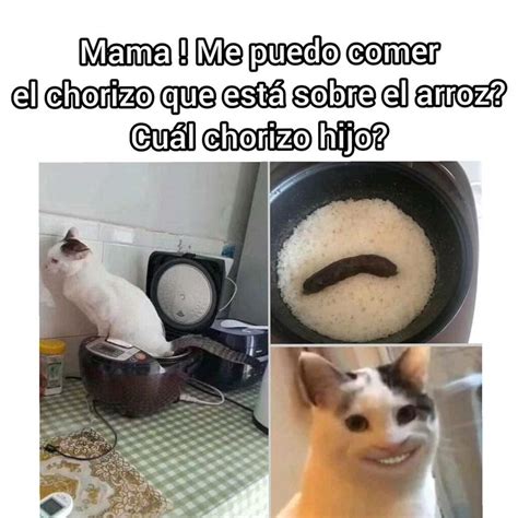 Diablos gatito | Memes español graciosos, Memes, Memes graciosos de ...