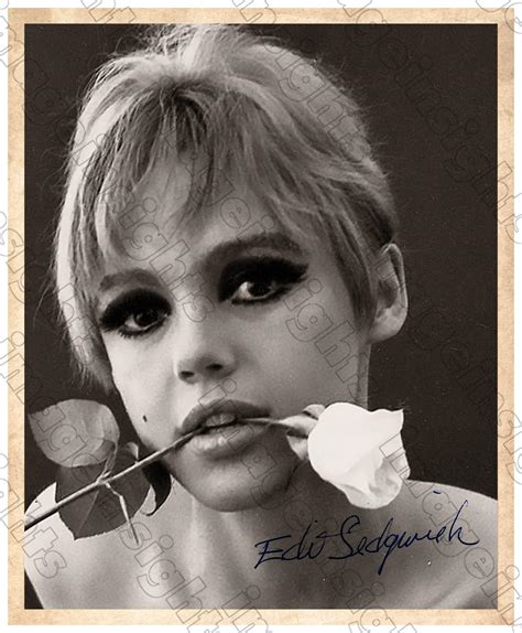 EDIE SEDGWICK 60's Warhol Factory Tragic Superstar 8 X 10 Restored ...