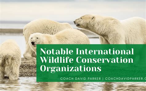 Notable International Wildlife Conservation Organizations | Coach David ...