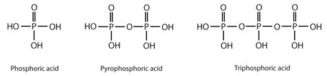 Esters of Phosphoric Acid