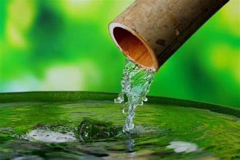 10 Best Bamboo Water Fountains - Water Garden Advice