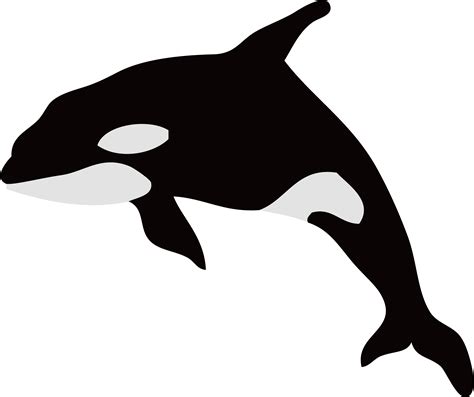 Orca clipart silhouette, Orca silhouette Transparent FREE for download ...