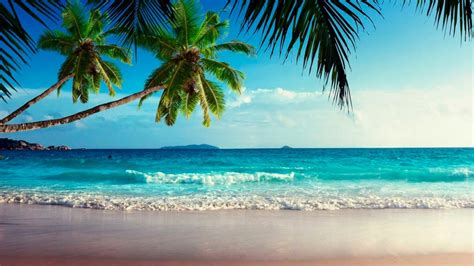 🔥 [80+] Windows Beach Wallpapers | WallpaperSafari