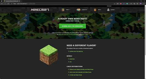 Mojang minecraft dowload - lalafpetro