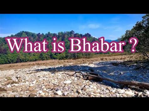 What is Bhabar | Bhabar region | Bhabar in Geography - YouTube