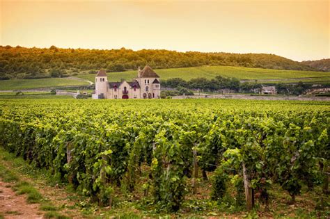 Route des Grands Crus – The Ultimate Burgundy Road Trip | France Bucket ...