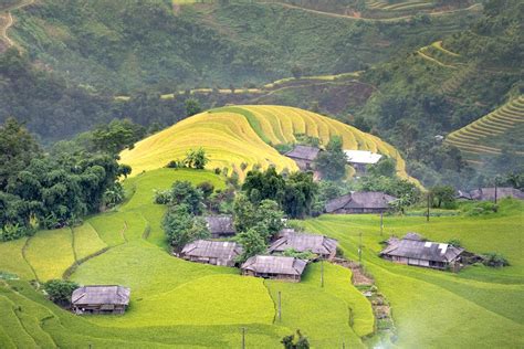 Aerial Photography of Houses on a Paddy Field · Free Stock Photo