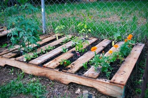 5 Ways To Grow Organic Food In Small Spaces For Preppers, Survivalists ...