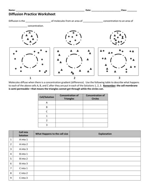 Diffusion Worksheet Answers — db-excel.com