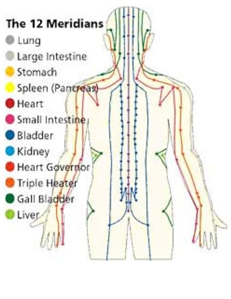 Understanding What Ailments Develop Due To Blocked Meridians and/or ...