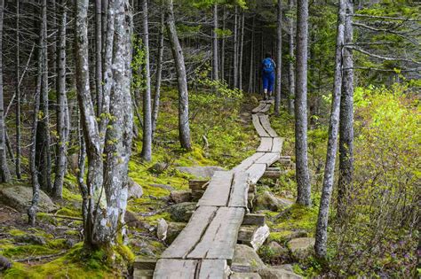 12 Amazing Facts About Acadia National Park