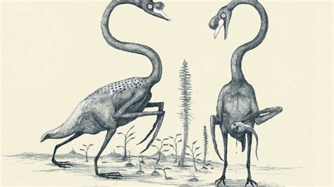 Artist Draws Animals The Same Way We Draw Dinosaurs, Based On Bones ...