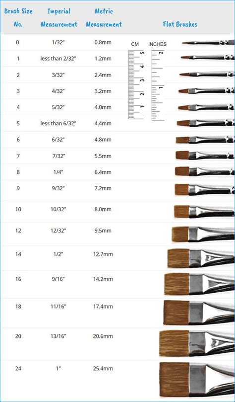 different types of paint brushes are shown in this table listing the ...