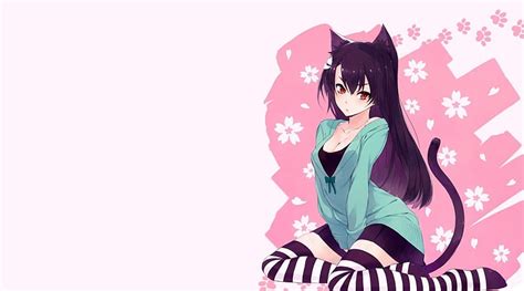 Anime, anime girls, -in-, Neko Para, HD phone wallpaper | Peakpx