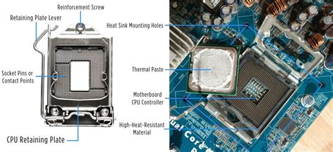 What Is the Difference Between CPU vs. GPU vs. TPU? (Complete Overview ...