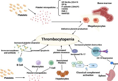 Figure 1 from Novel Biomarkers for Diagnosis and Monitoring of Immune ...