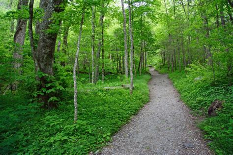 Chimney Tops Trail | Great Smoky Mountains National Park