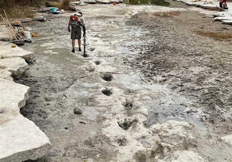 Sungai Mengering, Orang Ini Temukan Jejak Kaki Dinosaurus