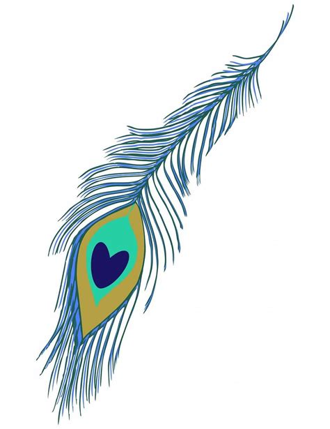 How to Draw a Peacock Feather - Step by Step - DrawAnimal.com