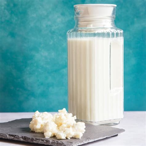 Homemade Whole Milk Kefir Nutrition Facts | Besto Blog