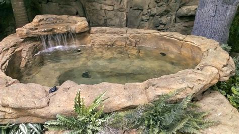 Koi Ponds, Backyard & Garden Landscape Prefab Fish Ponds