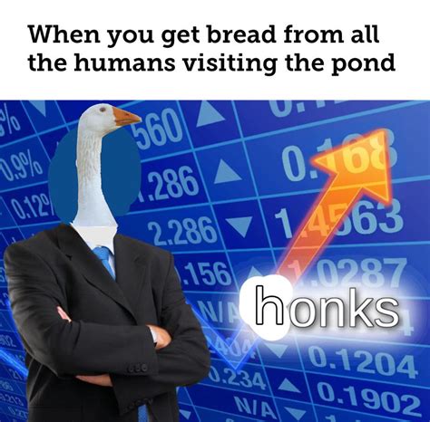 Honkers : r/meme