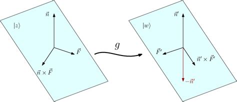 Pictorial representation of the holonomy as a map between reference ...