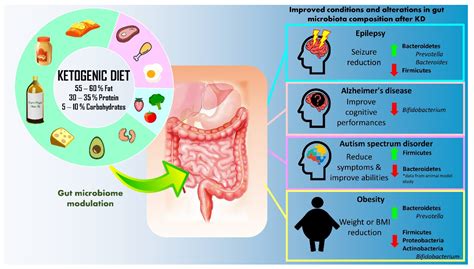 Nutrients | Free Full-Text | Ketogenic Diet: A Dietary Intervention via ...