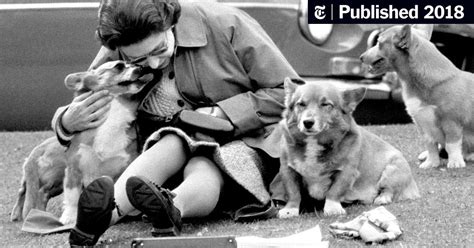 8 Decades of British Royal Corgis Reportedly at an End - The New York Times