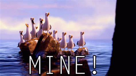 Finding Nemo Seagulls GIF - Finding Nemo Seagulls Mine - Discover ...