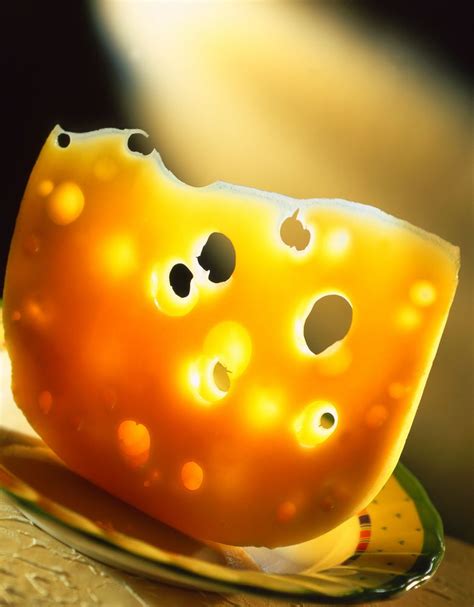 Why Does Swiss Cheese Have Holes? | Live Science