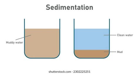 Process Sedimentation Diagram Physics Resources Teachers Stock Vector ...