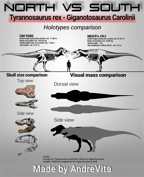 Tyrannosaurus rex (specimen CM 9380) vs Giganotosaurus Carolinii ...