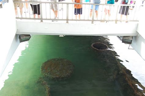 09 Remnants of the ship wreckage below USS Arizona Memorial - Ghumakkar ...