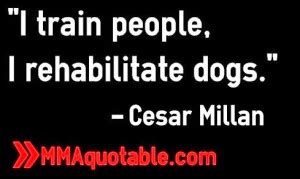 Cesar Millan Quotes. QuotesGram