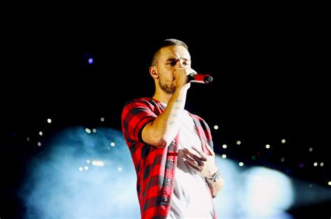 Where We Are Tour - Liam Payne - One Direction Photo (37446963) - Fanpop