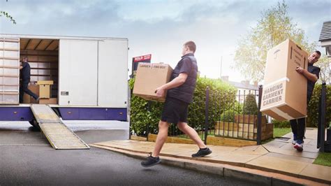 Average Cost Of Movers In 2024 – Forbes Home