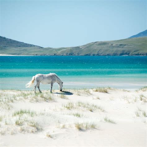 Hebrides | Scotland beach, Outer hebrides, Scottish landscape