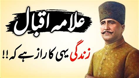 Allama Iqbal, Urdu Quotes, Poet, Amazon Logo, The Selection, Tech ...