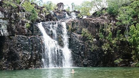 Cedar Creek Falls (Proserpine) - All You Need to Know BEFORE You Go ...