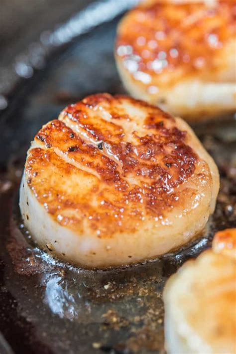 Seared Scallops - How to cook scallops perfectly with a golden brown crust