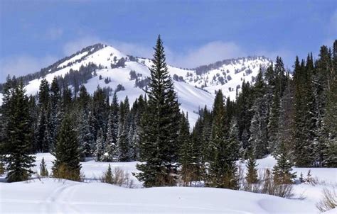 Wyoming Range Winter Scene - Dave Bell, Pinedale Online, Pinedale Wyoming