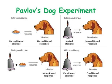 classical conditioning